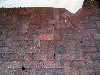 IMG_0221.jpg